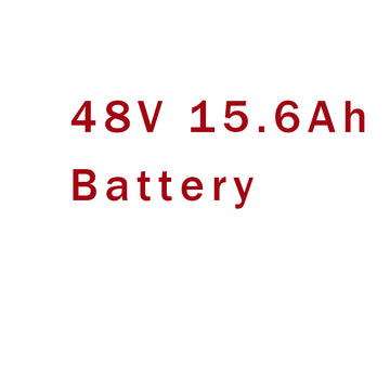 48V 15.6Ah 748Wh Battery