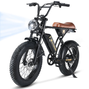 CycRun Electric Bike for Adults 750W 55Miles Long Range 20MPH Moped Style Ebike for Adults, 20" Fat Tire Commuting Off Road Mountain Ebike with Hydraulic Suspension Shock Absorption
