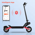 R 800W Off Road Electric Scooter Circooter